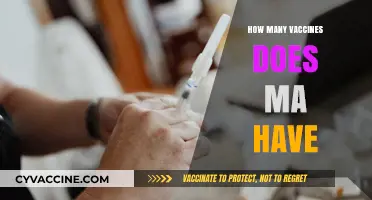 Massachusetts Vaccine Schedule: Understanding Required Immunizations for All Ages