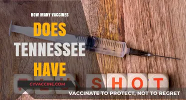 Tennessee's Vaccine Supply: Understanding Availability and Distribution Across the State