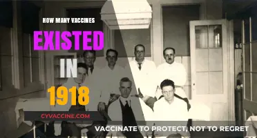 Exploring the Limited Vaccine Landscape of the 1918 Era