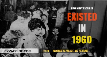 Exploring the Limited Vaccine Landscape of the 1960s Era