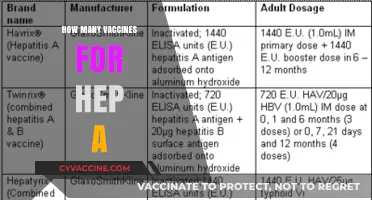 Understanding Hepatitis A Vaccination: How Many Doses Do You Need?