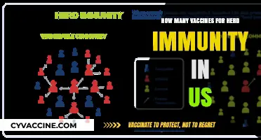 Achieving Herd Immunity in the US: How Many Vaccines Are Needed?