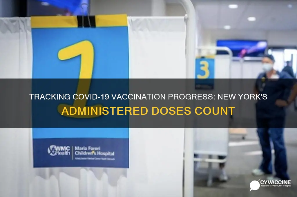 how many vaccines have been administered in ny