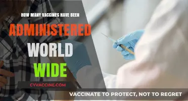 Global Vaccine Rollout: Tracking Worldwide Administration Numbers and Impact