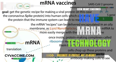 Exploring mRNA Technology: How Many Vaccines Use This Innovation?