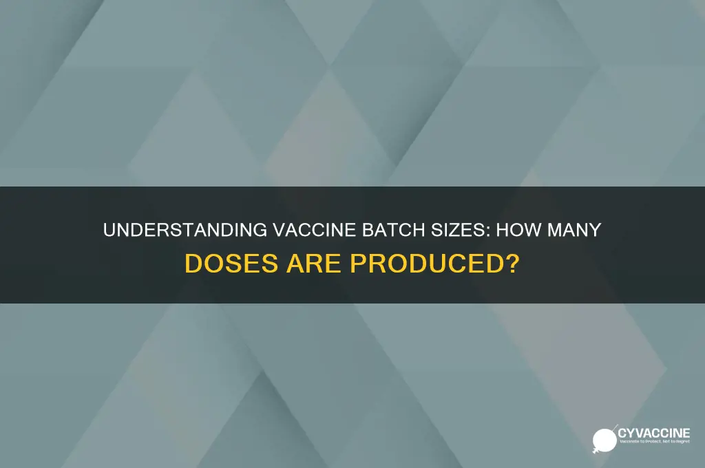 how many vaccines in a batch