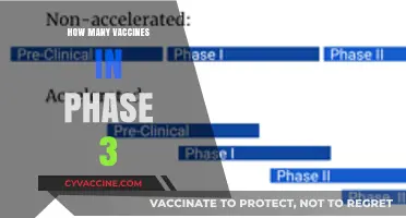 Exploring the Number of Vaccines Currently in Phase 3 Trials