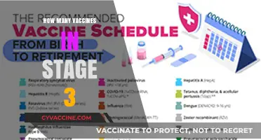 Exploring the Number of Vaccines Currently in Stage 3 Trials