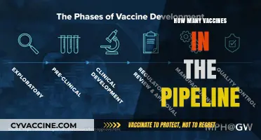 Exploring the Growing Pipeline of Vaccines in Development