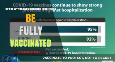 Understanding Full Vaccination: Vaccines and Boosters Required for Protection