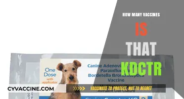 Understanding the Number of Vaccines Administered by KDCTR
