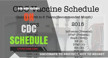 Understanding the CDC's Vaccine Schedule: A Comprehensive Guide for Parents
