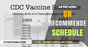 Understanding the CDC's Recommended Vaccine Schedule for All Ages