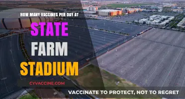 State Farm Stadium's Daily Vaccine Rollout: Numbers and Impact