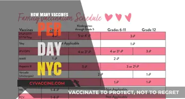 NYC's Daily Vaccine Rollout: Tracking Inoculations Across the City