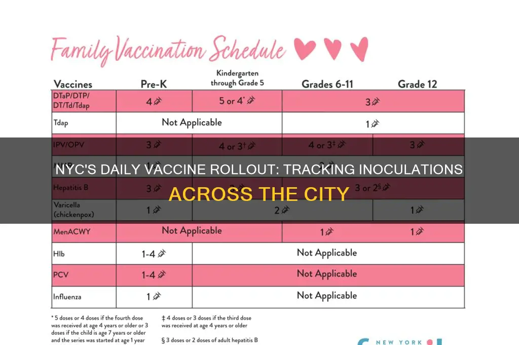 how many vaccines per day nyc