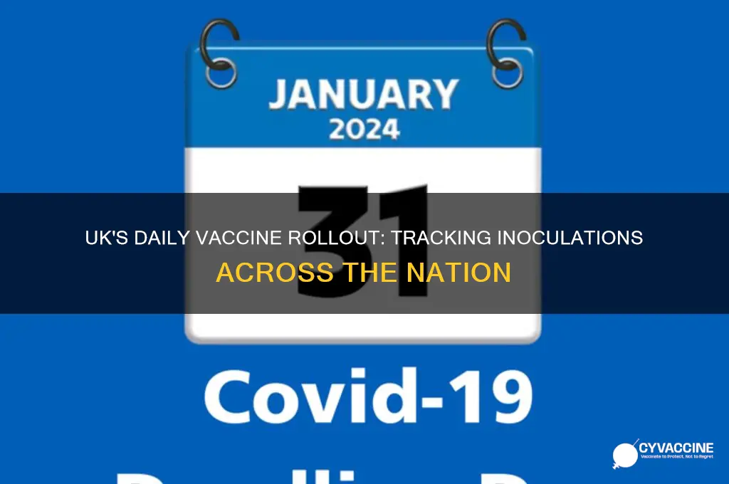 how many vaccines per day uk