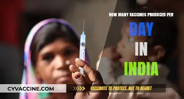 India's Daily Vaccine Production: A Comprehensive Overview of Output