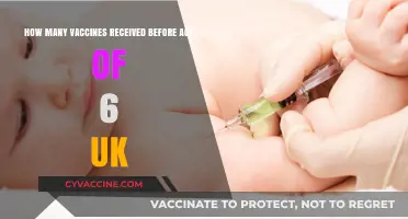 UK Childhood Vaccination Schedule: Shots Administered Before Age 6 Explained