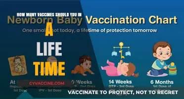 Lifetime Vaccination Guide: Essential Shots for Optimal Health Protection