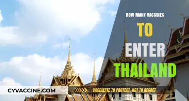 Vaccine Requirements for Thailand Entry: What Travelers Need to Know