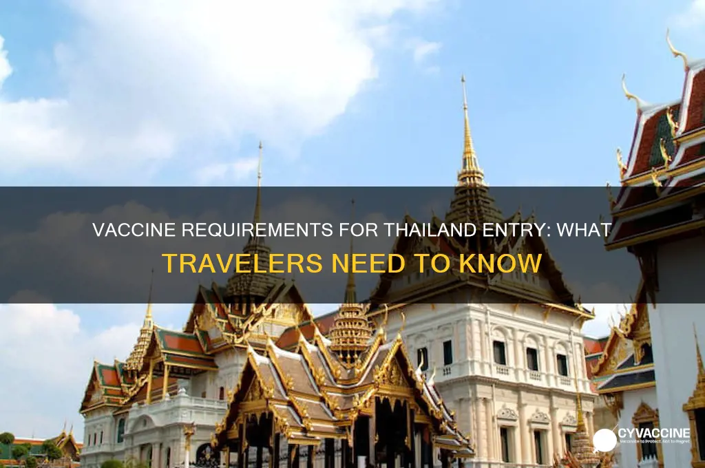 how many vaccines to enter thailand