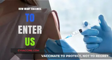 Vaccine Requirements for US Entry: What Travelers Need to Know