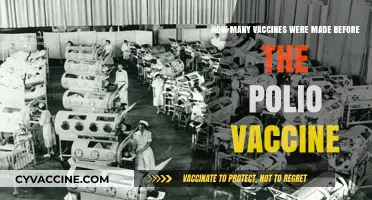 The Evolution of Vaccines: Polio's Predecessors and Their Impact