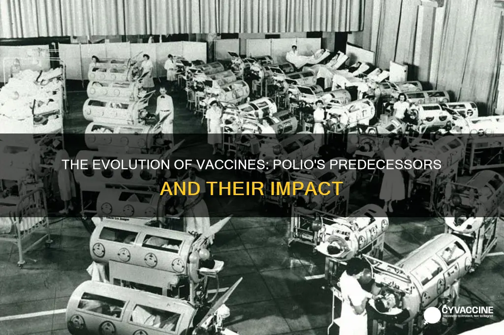 how many vaccines were made before the polio vaccine