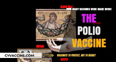 The Evolution of Vaccines: A Journey Before the Polio Breakthrough