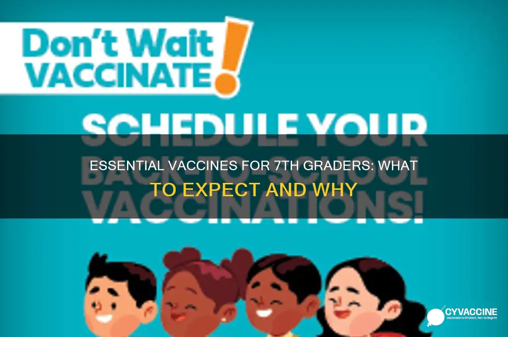 how many vaccins do you gegt for 7th grade