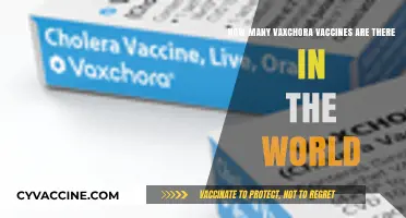 Global Vaxchora Vaccine Supply: Current Availability and Distribution Insights