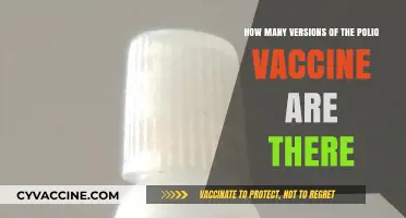 Exploring the Different Versions of the Polio Vaccine Available Today