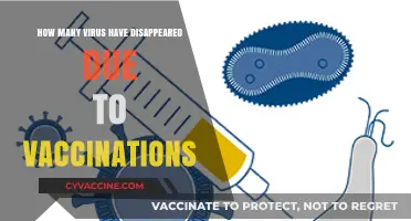 Vaccinations Eradicate Deadly Viruses: A Triumph of Modern Medicine