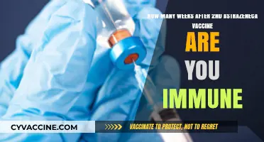AstraZeneca Vaccine Immunity: When Does Protection Begin After Second Dose?