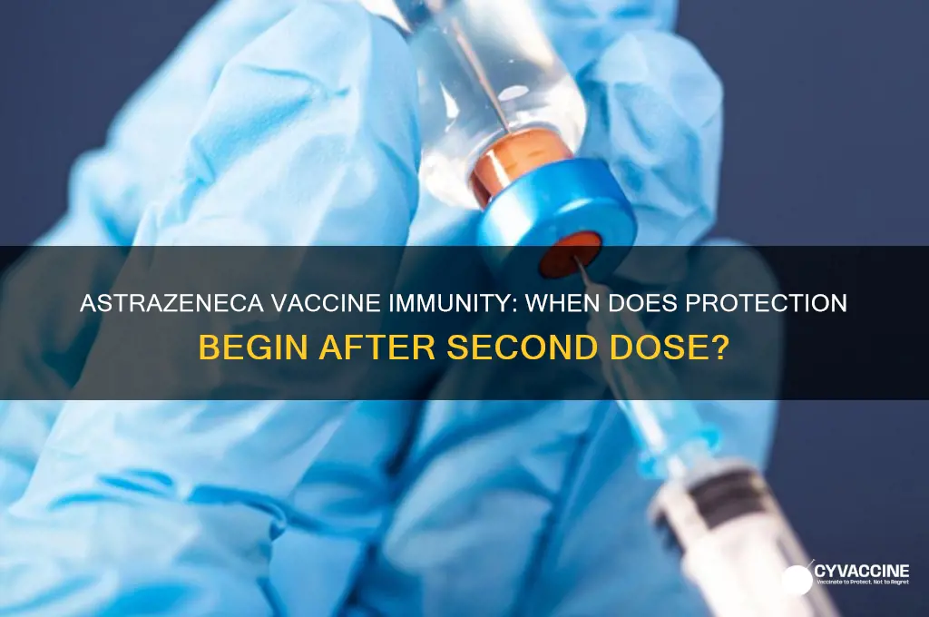 how many weeks after 2nd astrazeneca vaccine are you immune