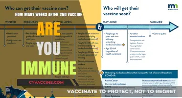 When Does Immunity Kick In After Your Second Vaccine Dose?