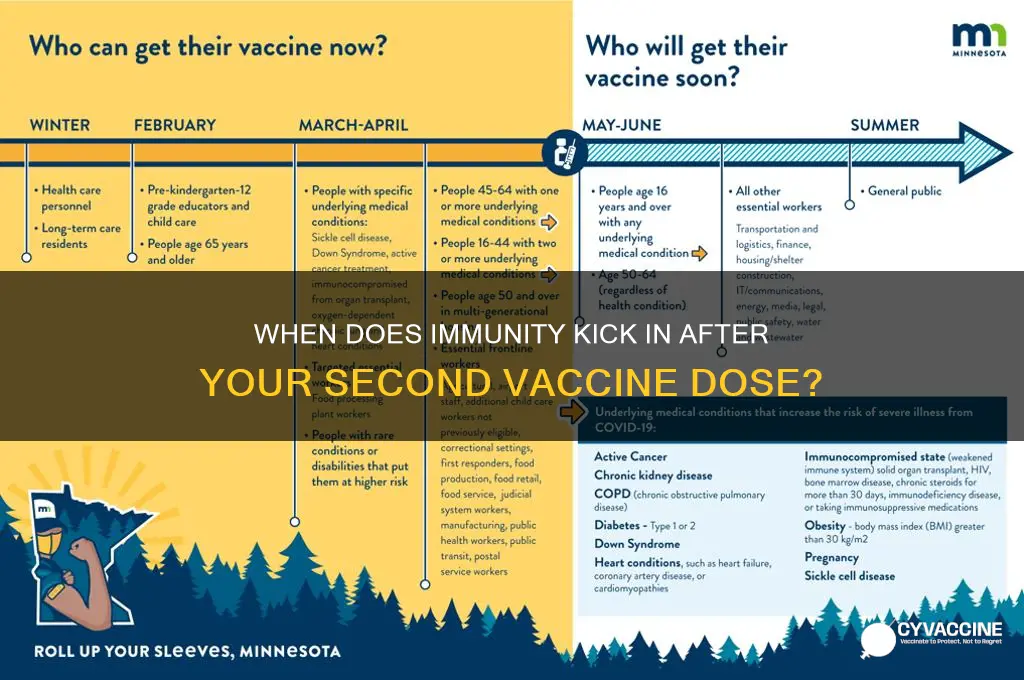 how many weeks after 2nd vaccine are you immune