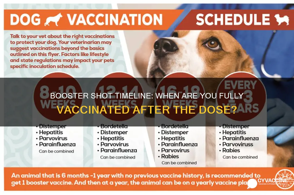 how many weeks after booster are you fully vaccinated