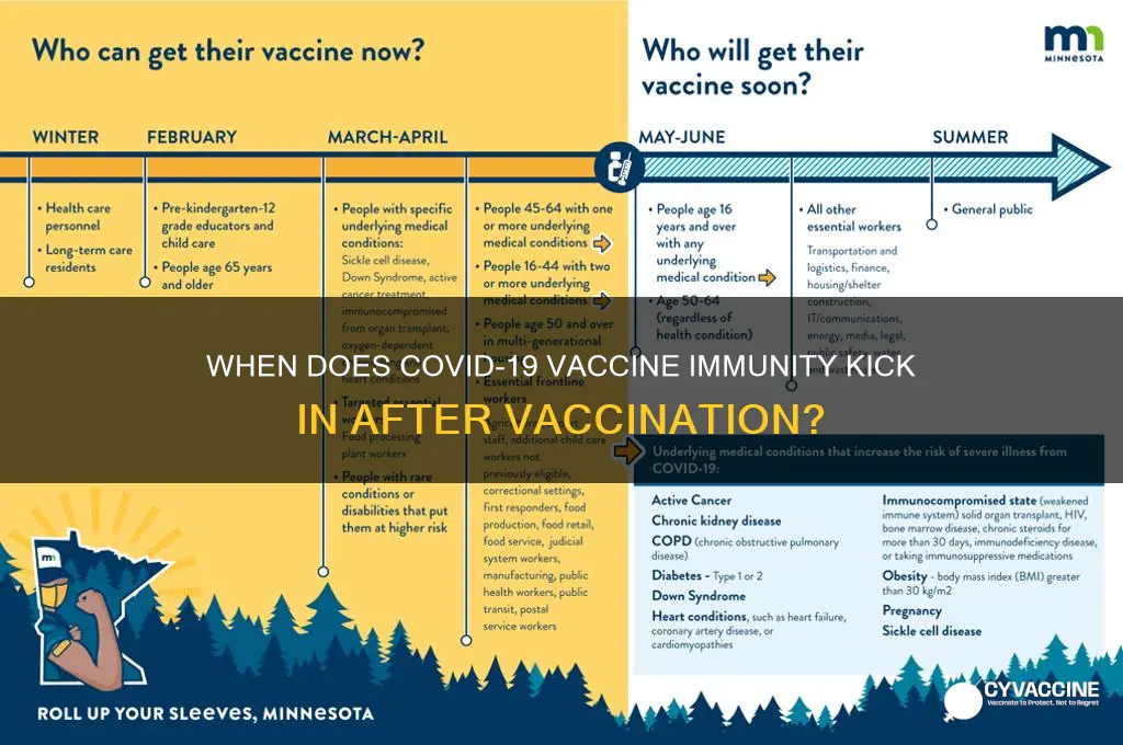how many weeks after the vaccine are you immune
