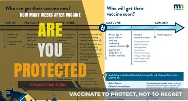 When Does Vaccine Immunity Kick In? Understanding Post-Vaccination Protection Timeline