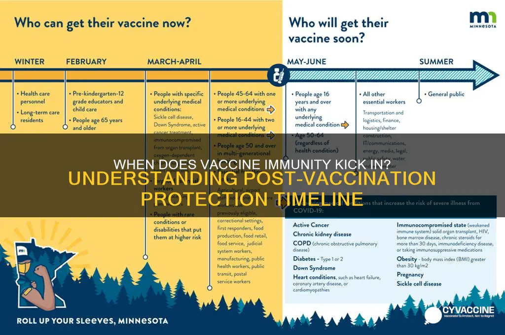 how many weeks after vaccine are you protected