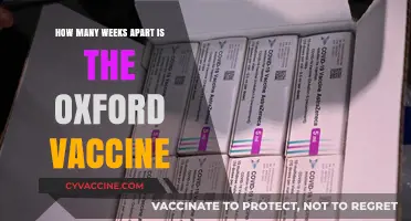 Oxford Vaccine Dosing Schedule: Optimal Weeks Between Shots Explained