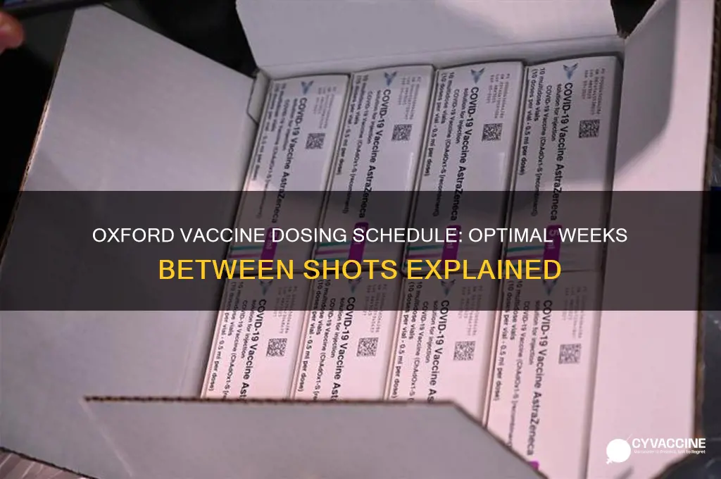 how many weeks apart is the oxford vaccine