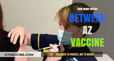 Understanding the Optimal Time Gap Between AZ Vaccine Doses