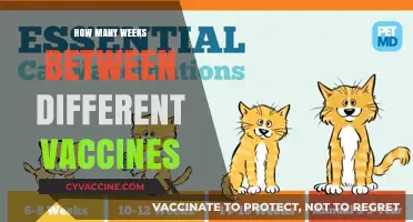 Understanding Vaccine Scheduling: Weeks Between Different Immunizations Explained