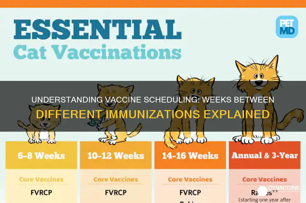 how many weeks between different vaccines