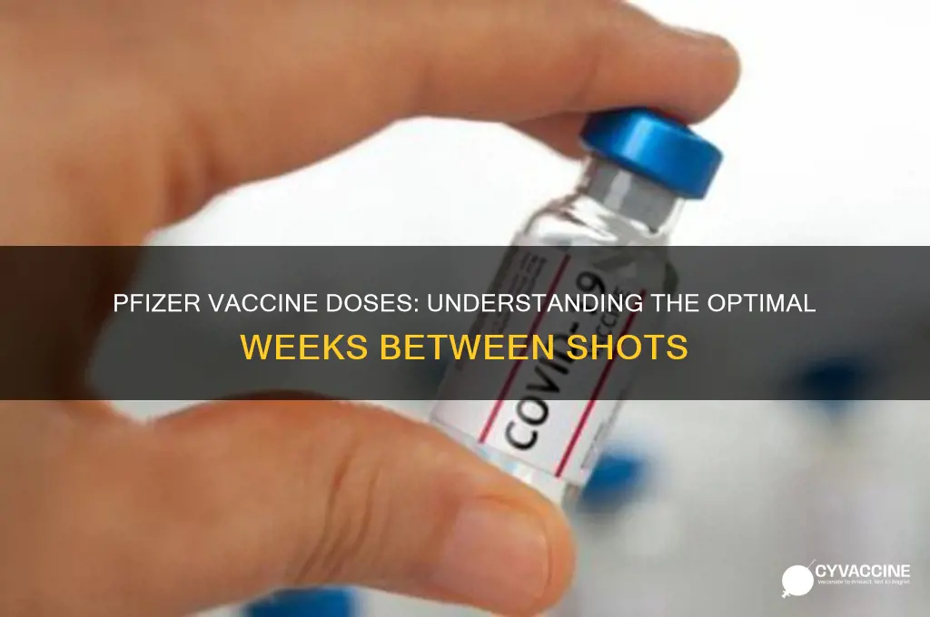 how many weeks between phizer vaccine