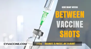 Understanding the Optimal Time Gap Between COVID-19 Vaccine Doses