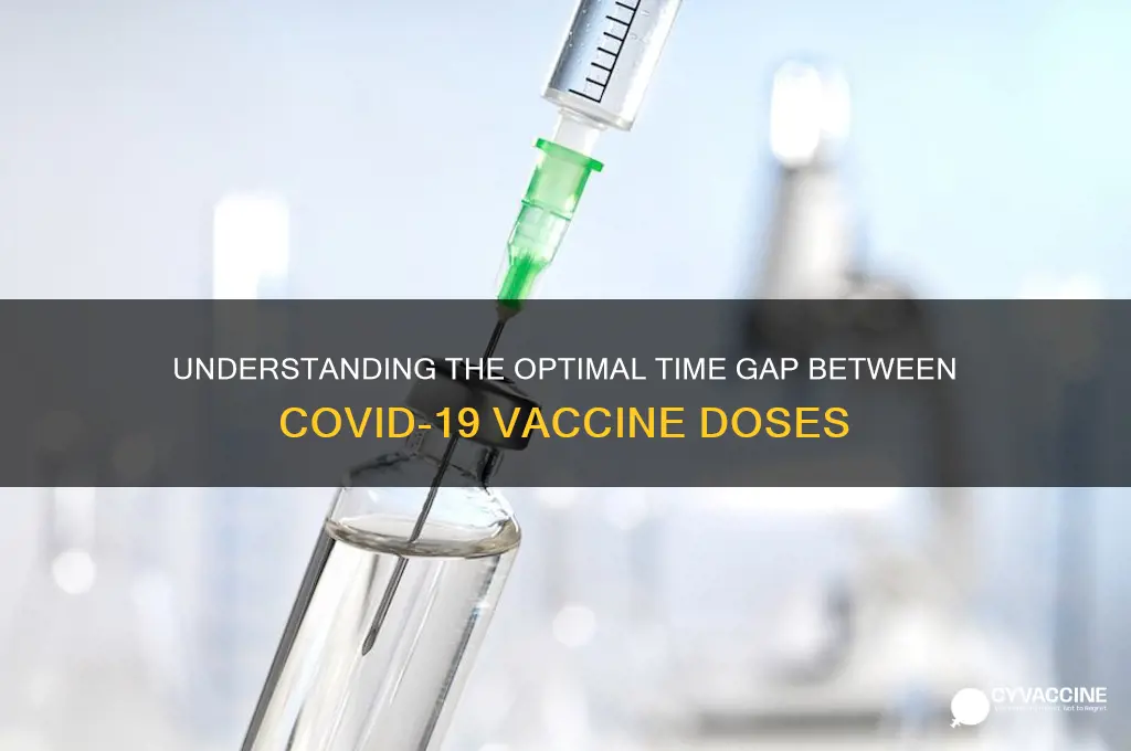 how many weeks between vaccine shots